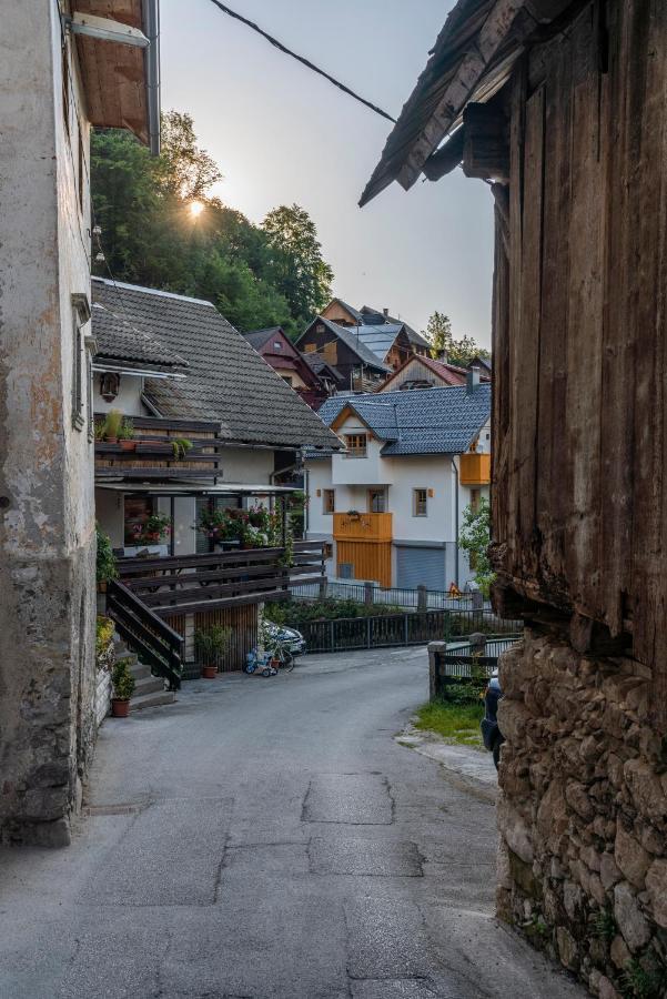 Holiday House Zupanc Bohinj Exteriér fotografie